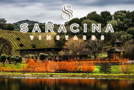 Saracina Vineyards