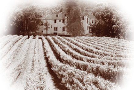 Victorianbourg Wine Estate