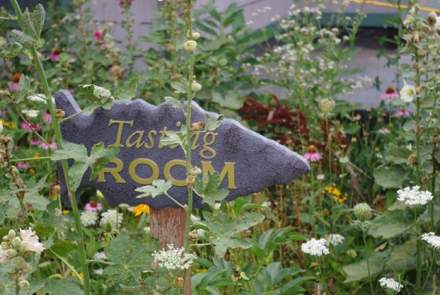 Arrowhead Spring Vineyards