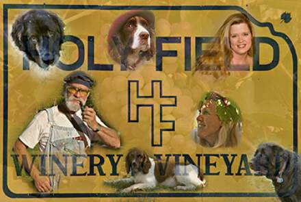 Holyfield Vineyard and Winery