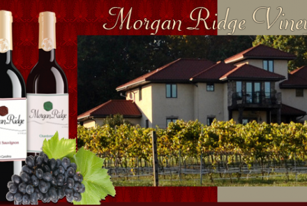 Morgan Ridge Vineyards