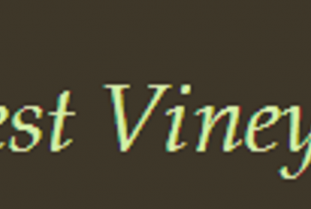 Fawncrest Vineyard