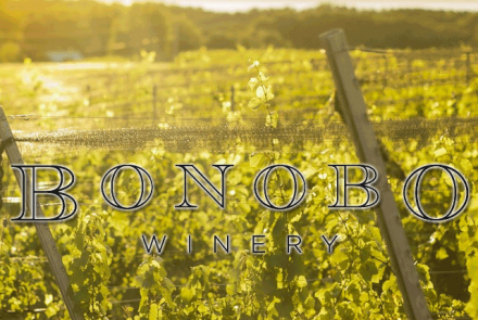Bonobo Winery