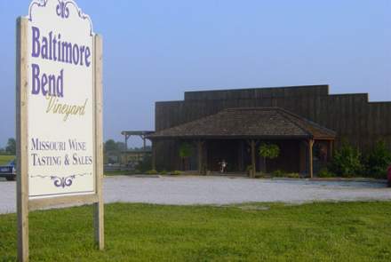 Baltimore Bend Vineyard