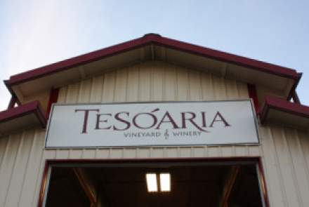 Tesoaria Vineyard And Winery 