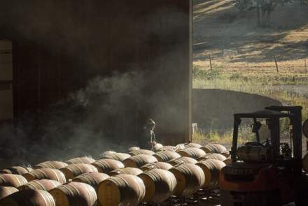 oregon-wine-maysara-winery-momtazi-vineyard_0069-600x600.jpg