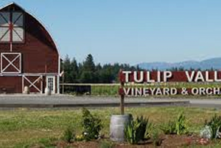 Tulip Valley Vineyard and Orchard