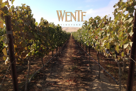 Wente Estate Winery and Tasting Room