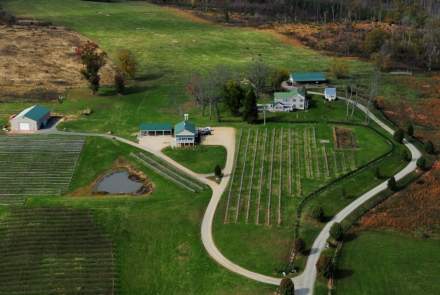 Weston Farm Vineyard and Winery