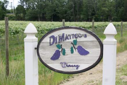 DiMatteo's Winery and Vineyards
