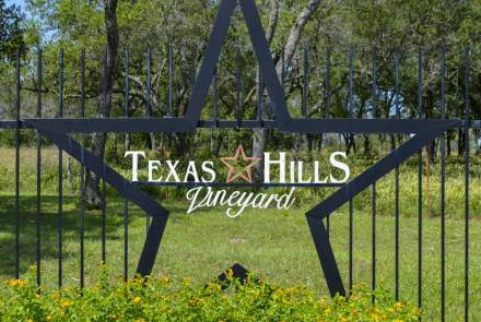 Texas Hills Vineyard